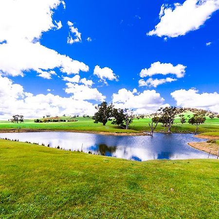 Hillview Farmstay Gundagai Exterior foto