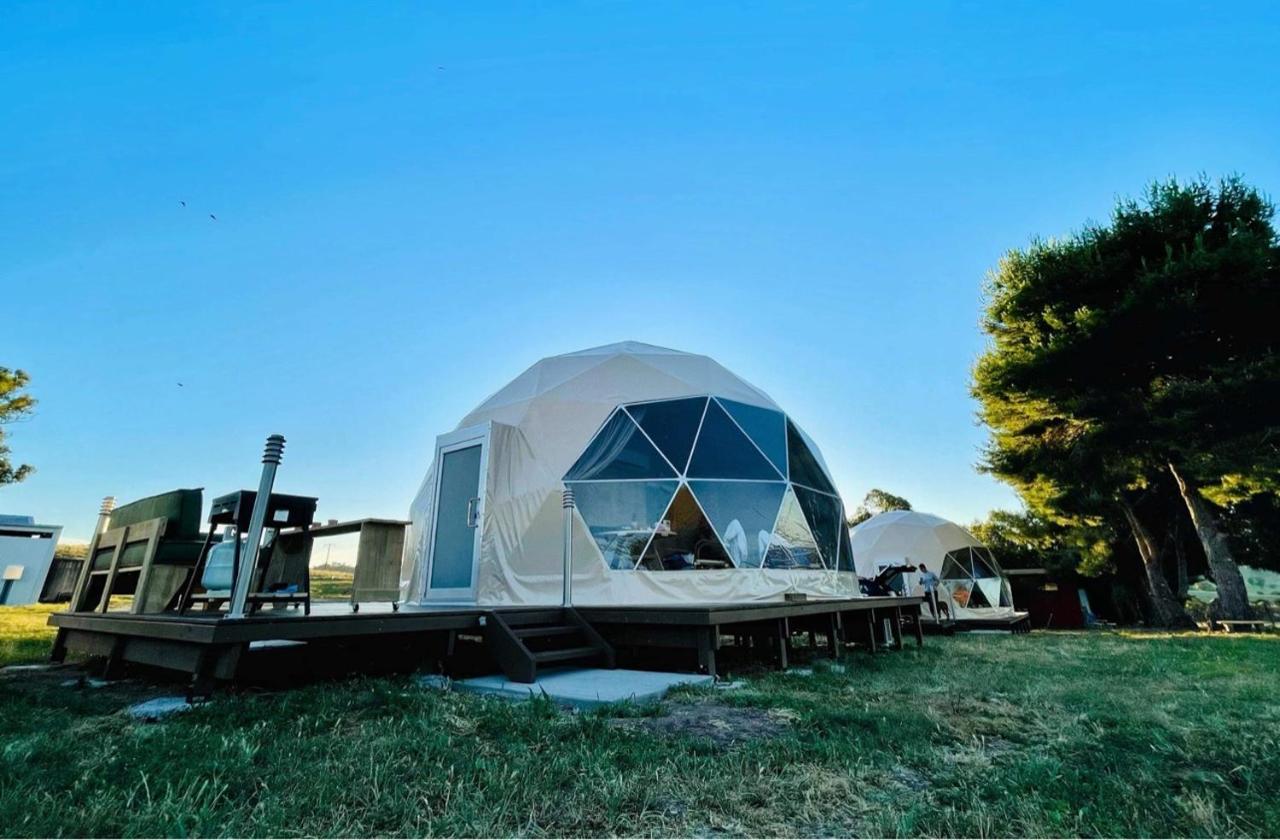 Hillview Farmstay Gundagai Exterior foto