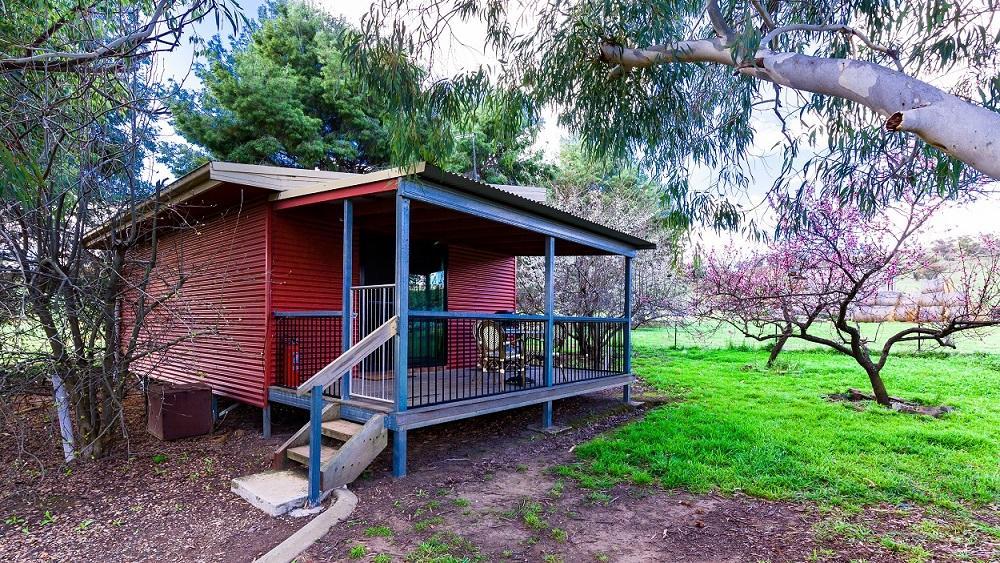 Hillview Farmstay Gundagai Exterior foto