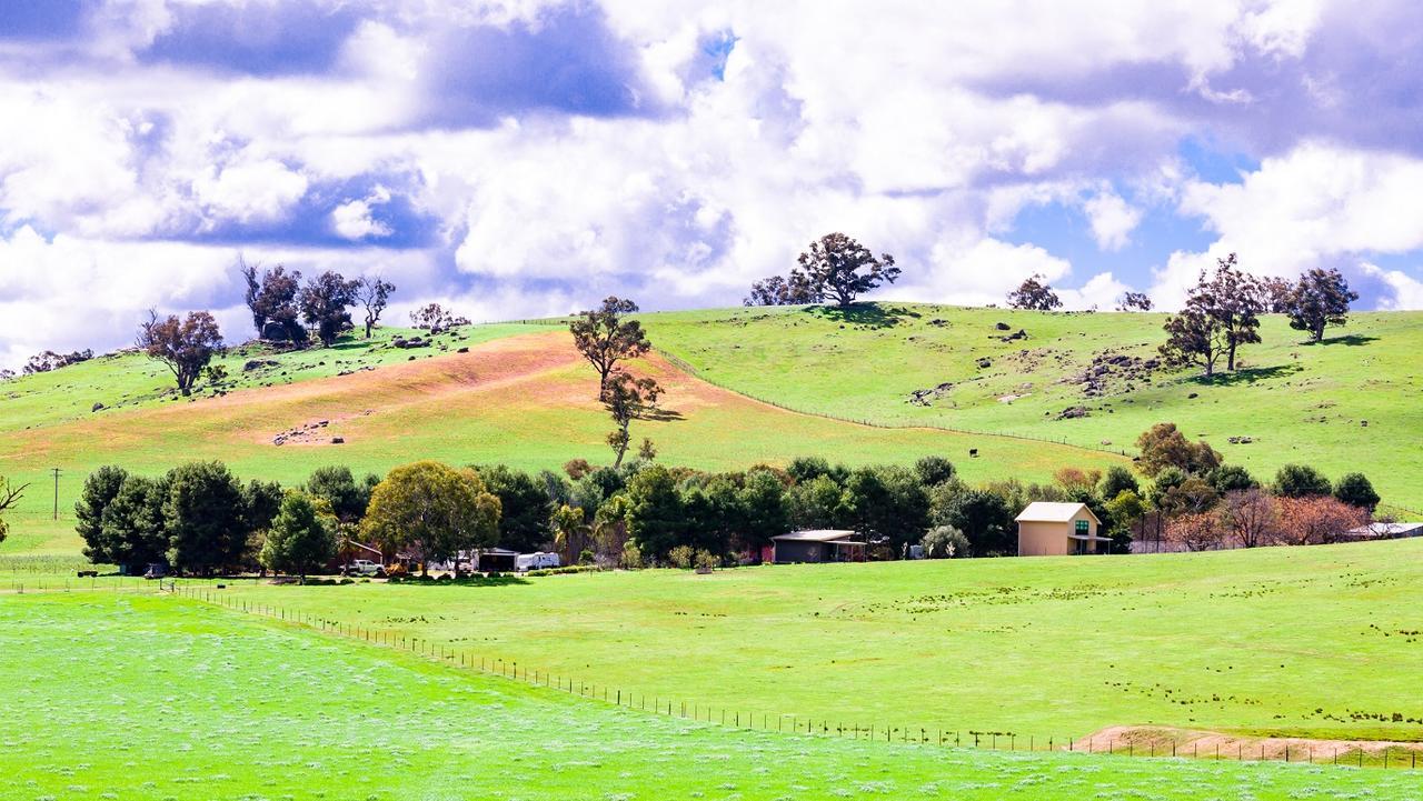 Hillview Farmstay Gundagai Exterior foto