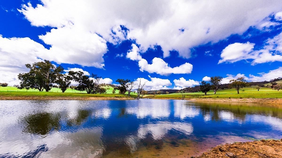 Hillview Farmstay Gundagai Exterior foto