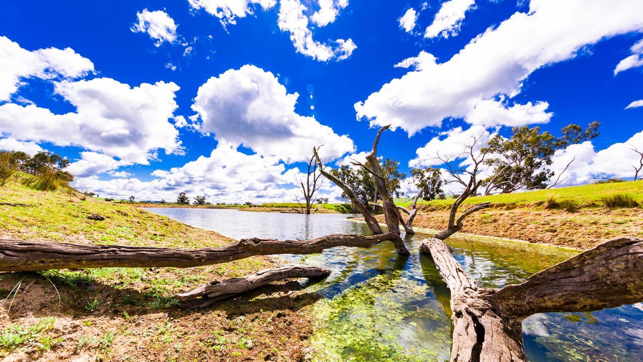 Hillview Farmstay Gundagai Exterior foto