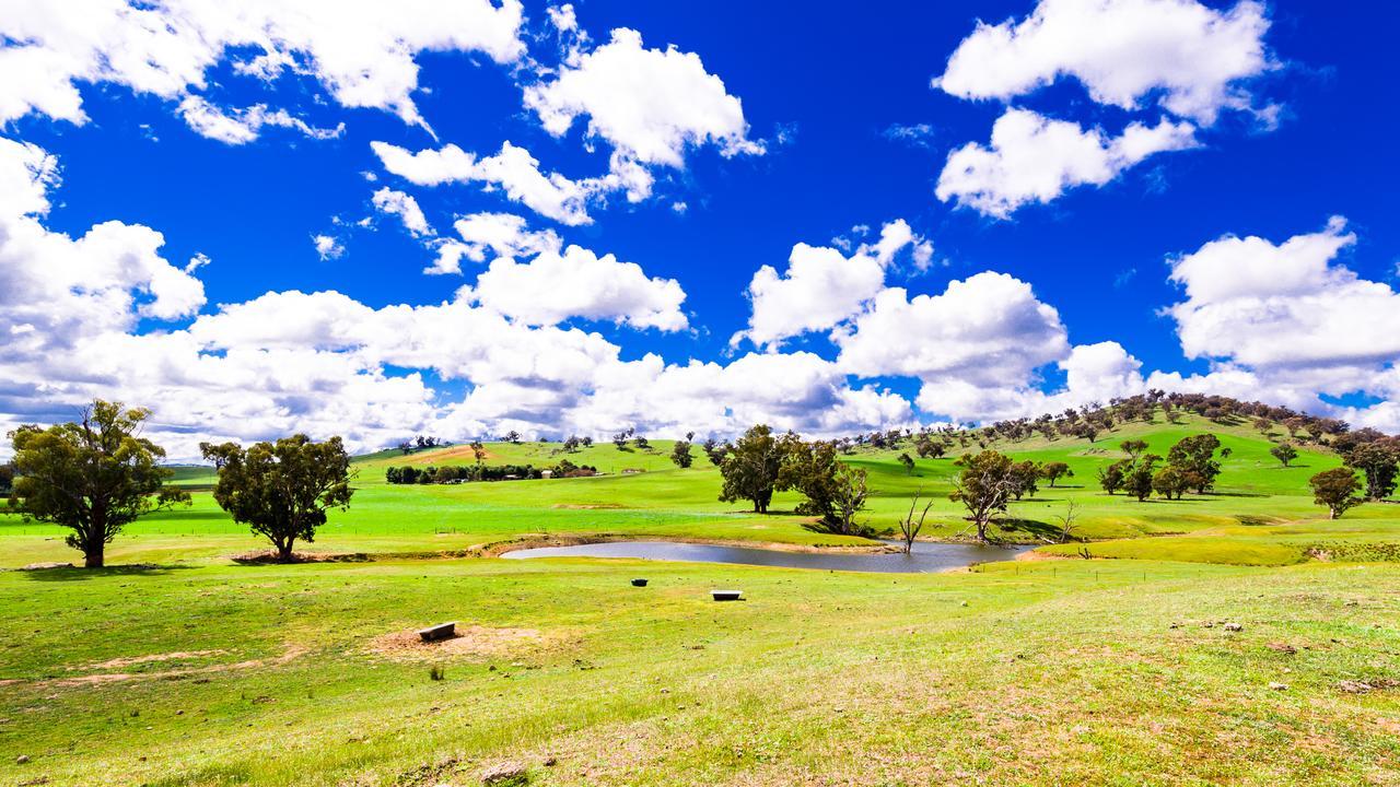 Hillview Farmstay Gundagai Exterior foto