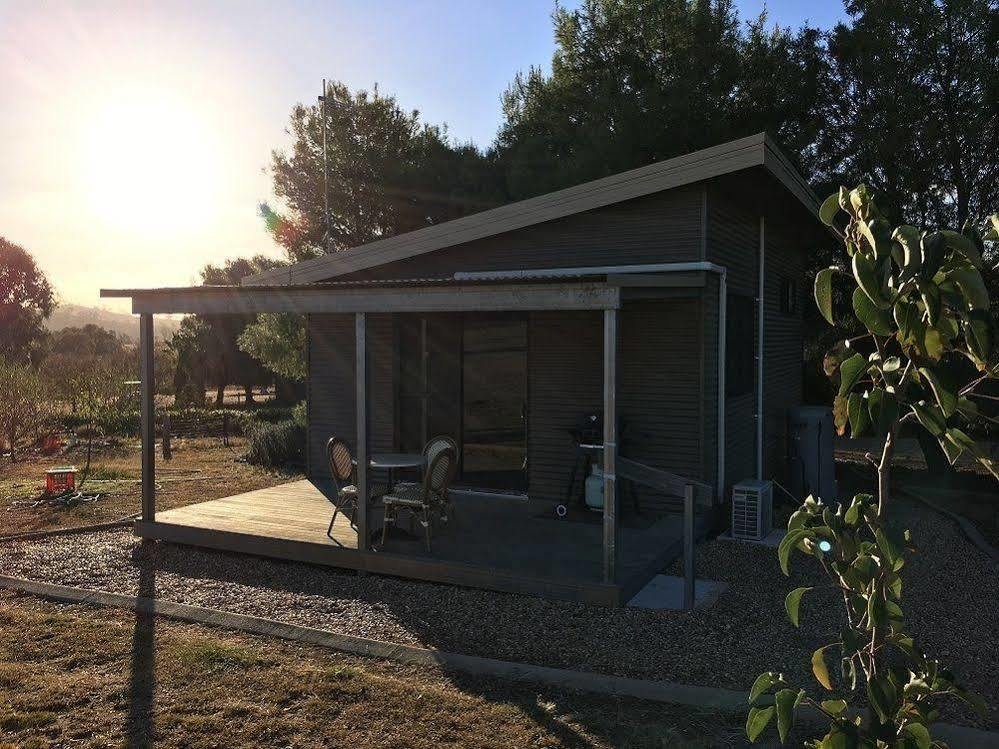 Hillview Farmstay Gundagai Exterior foto
